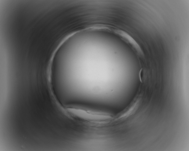 X0000091470860200709241304