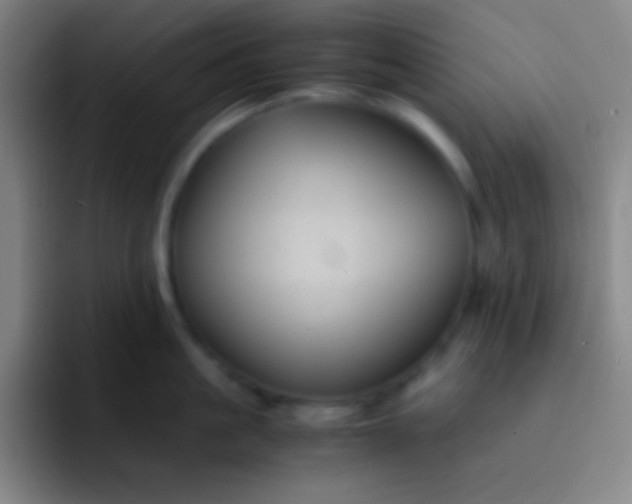 X0000091470861200709241304