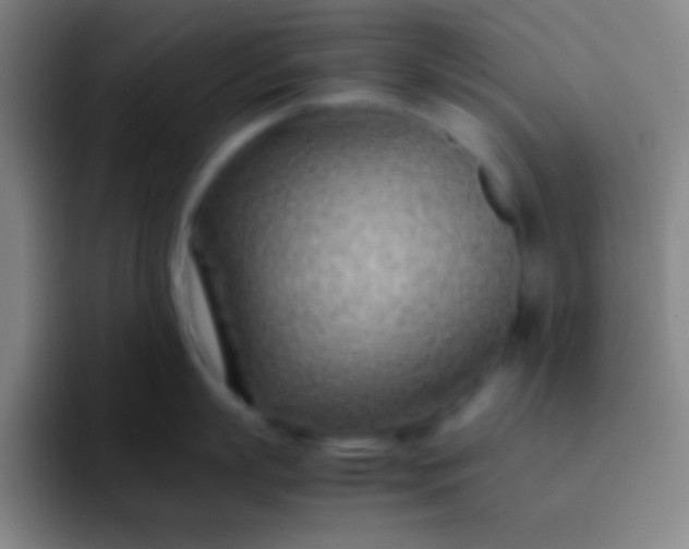 X0000091470863200709241304