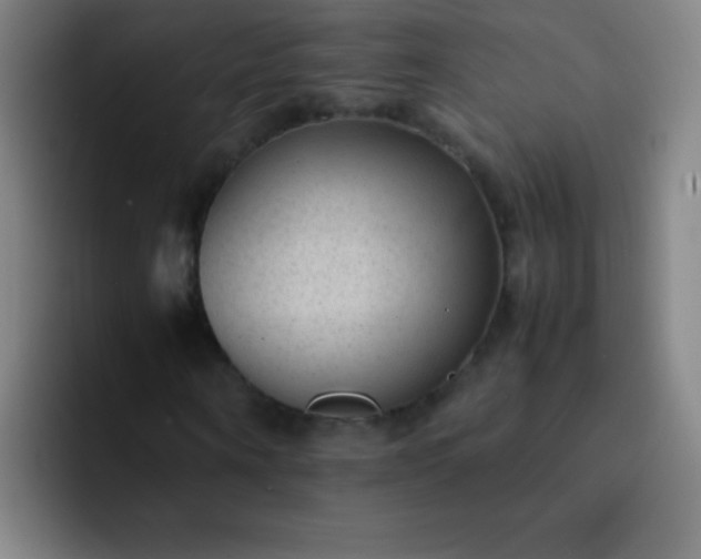 X0000091470866200709241304