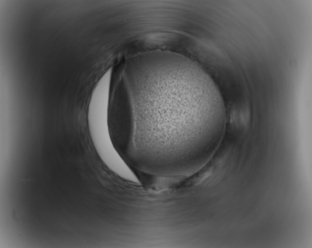 X0000091470868200709241304