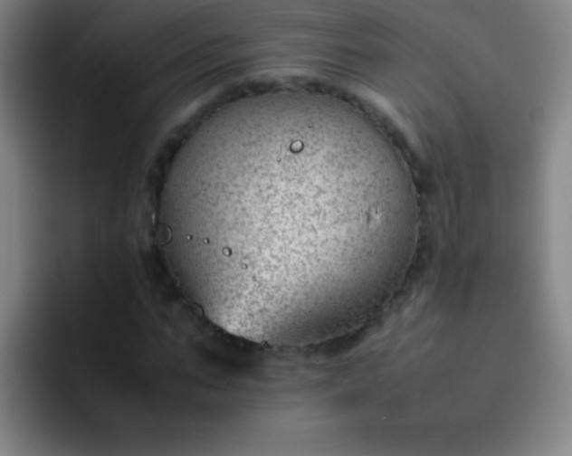 X0000091470871200709241304