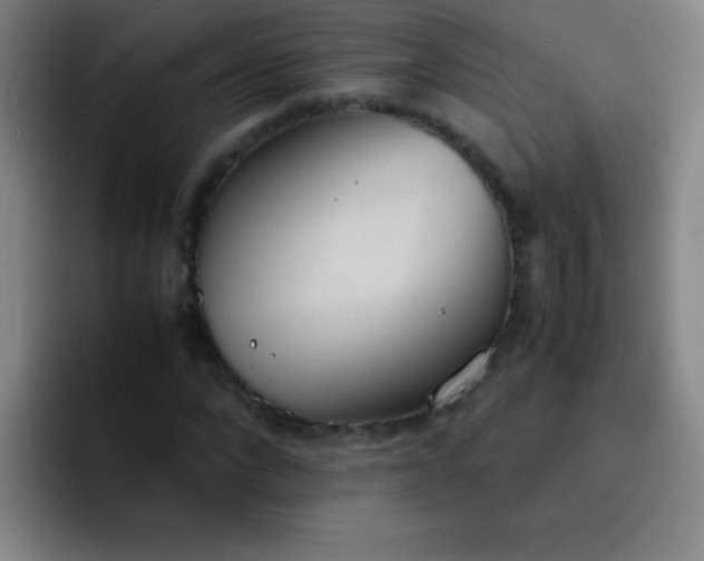 X0000091470872200709241304