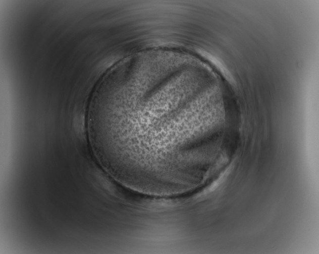 X0000091470881200709241303