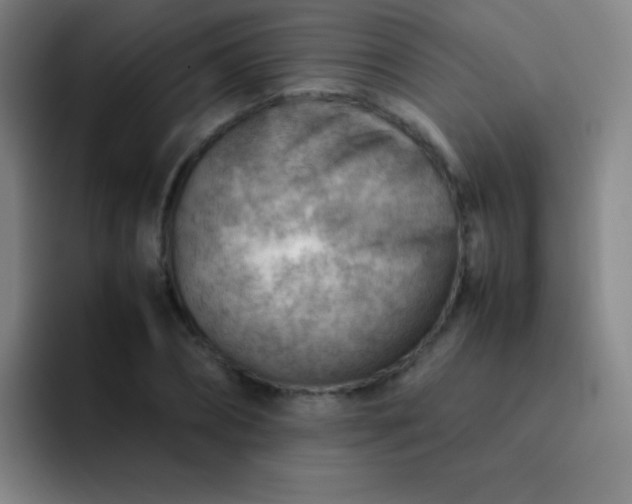 X0000091470882200709241303