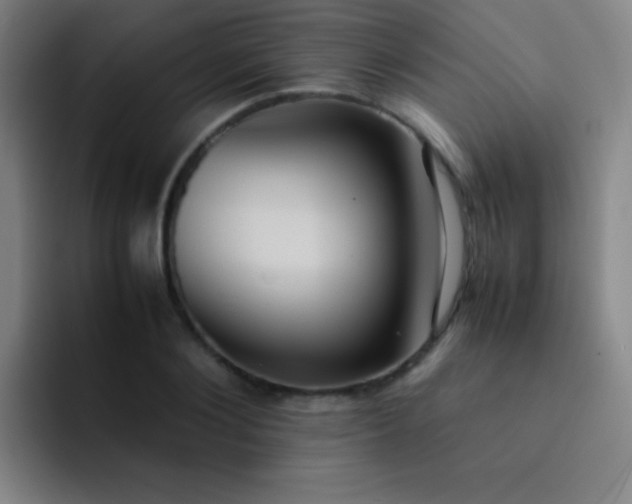 X0000091470884200709241303