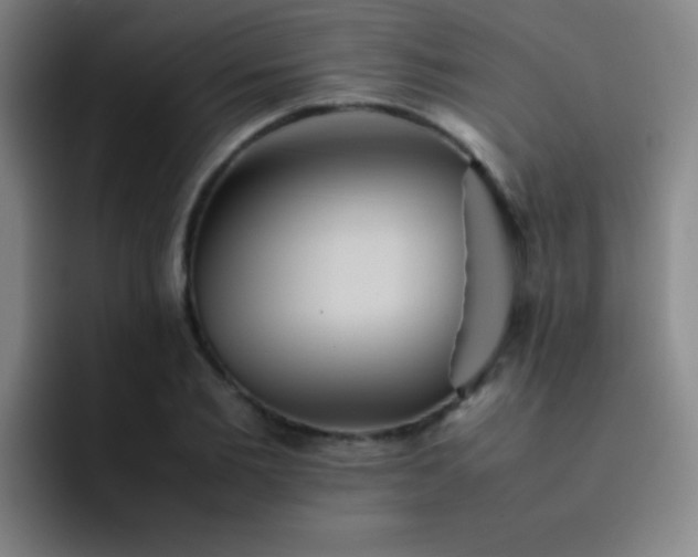 X0000091470885200709241303