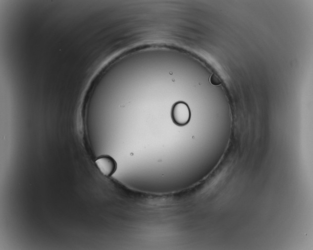 X0000091470887200709241303