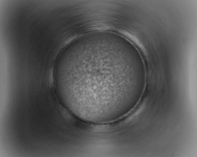 X0000091470889200709241303