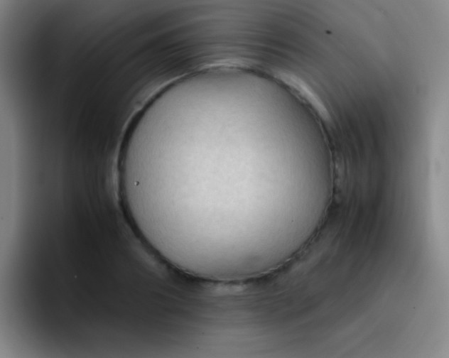 X0000091470890200709241303