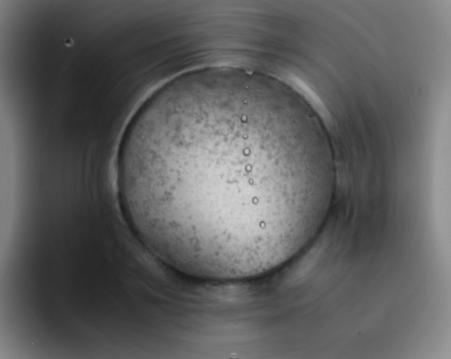 X0000091470891200709241303