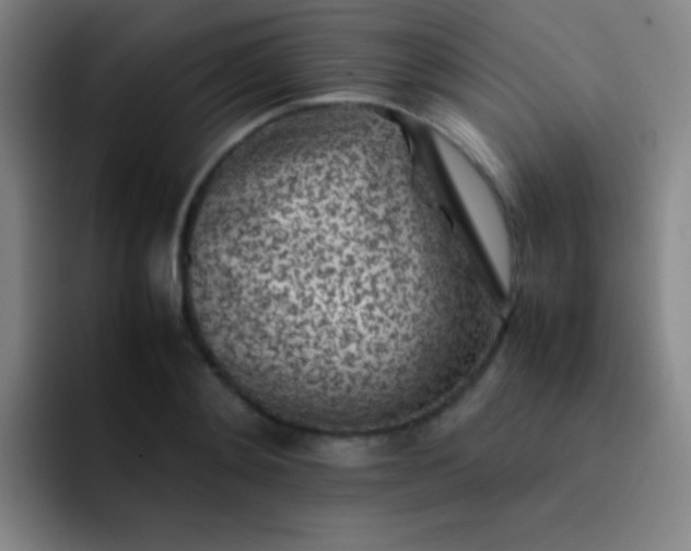 X0000091470892200709241303