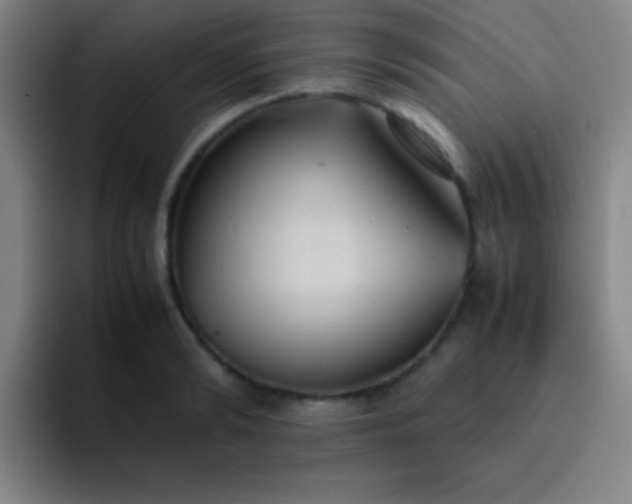 X0000091470894200709241303