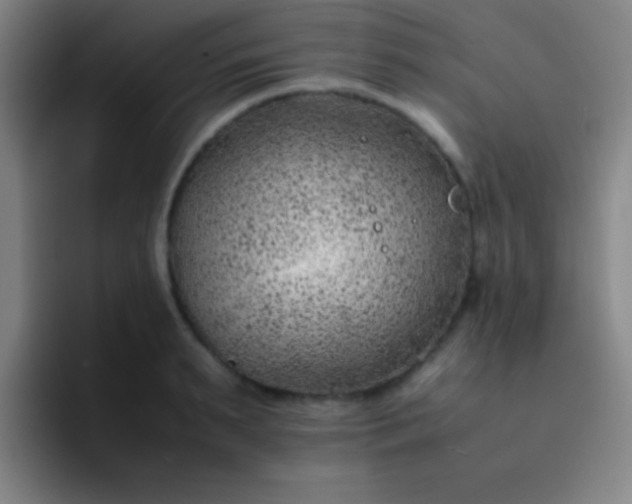 X0000091470895200709241303