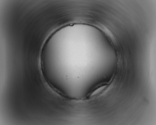 X0000091470896200709241303