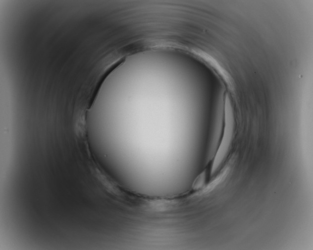 X0000091470897200709241303