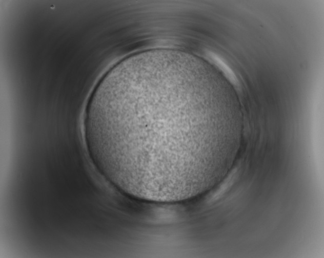 X0000091470899200709241303