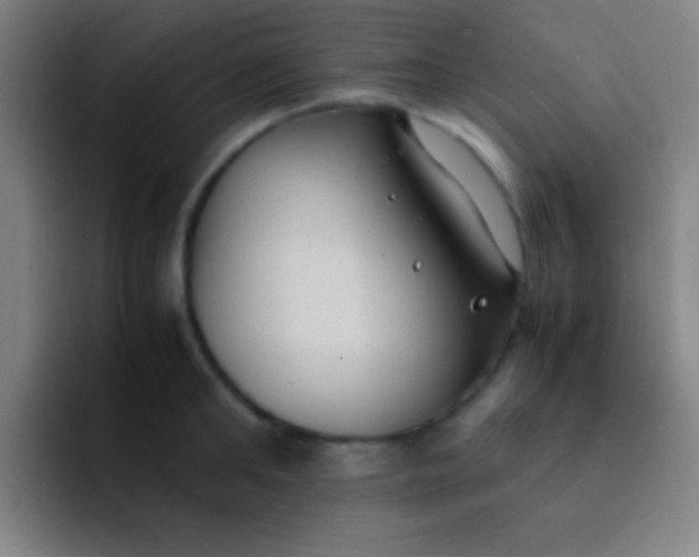 X0000091470902200709241303