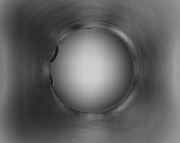 X0000091470905200709241303