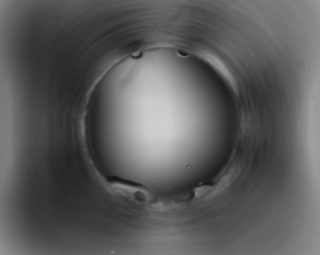 X0000091470906200709241303