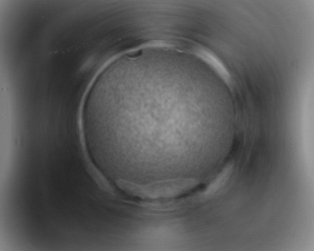 X0000091470907200709241303