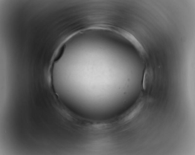 X0000091470908200709241303