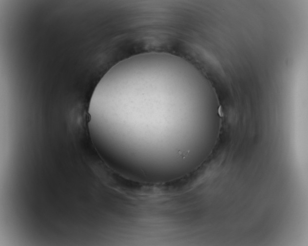 X0000091470914200709241303