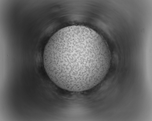 X0000091470918200709241303