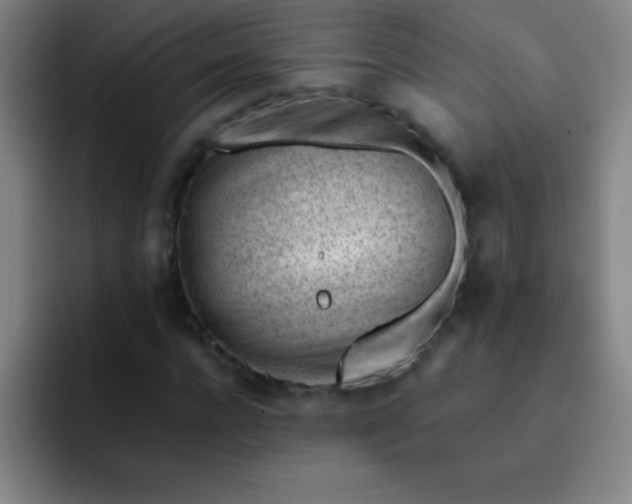 X0000091470920200709241303