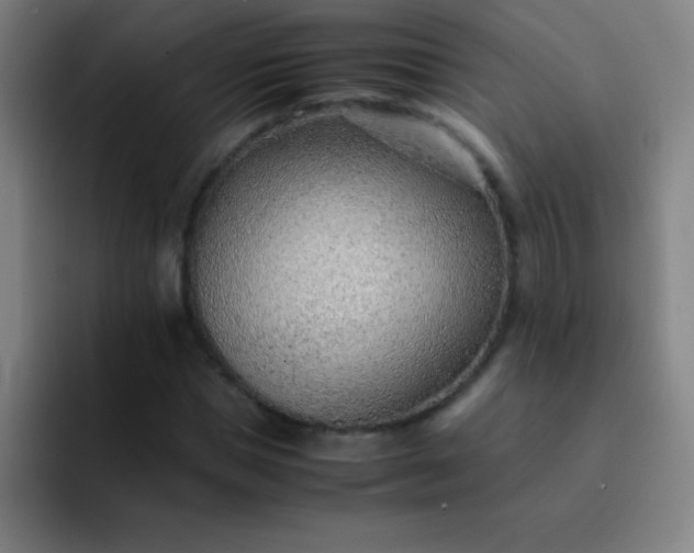 X0000091470921200709241303