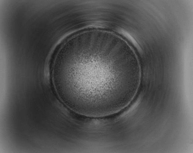 X0000091470923200709241303