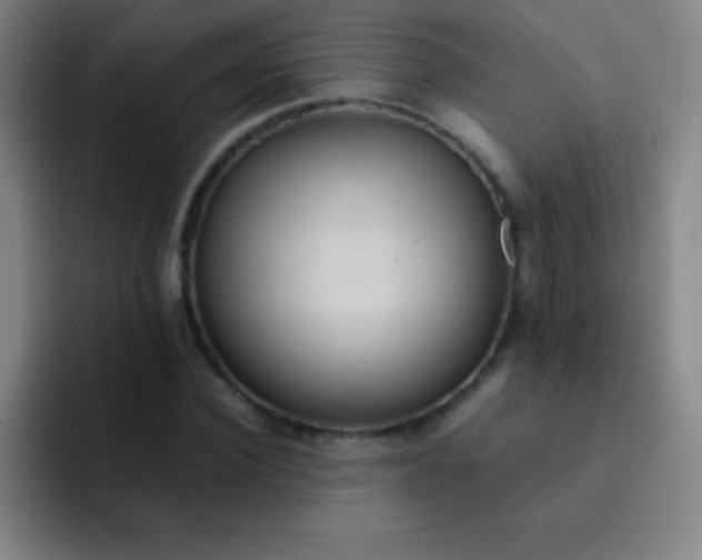 X0000091470924200709241303