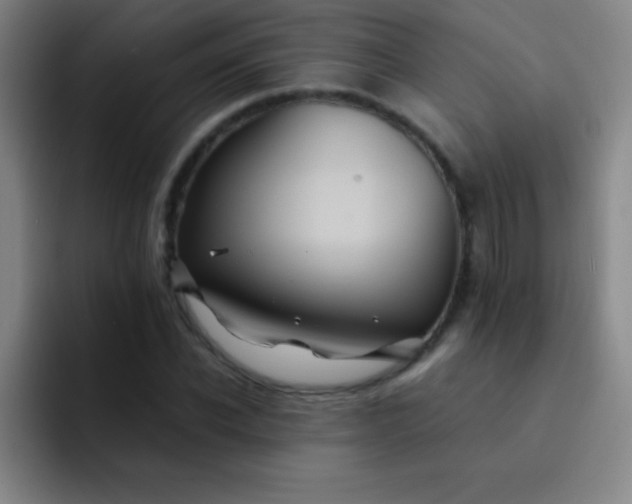 X0000091470926200709241303