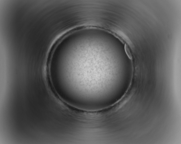 X0000091470928200709241303