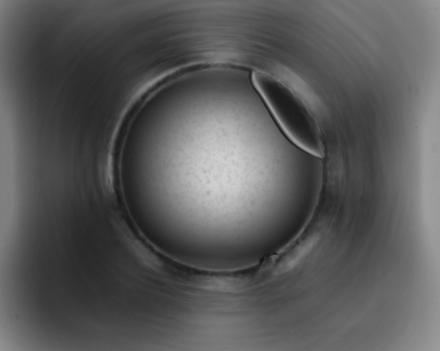 X0000091470932200709241303