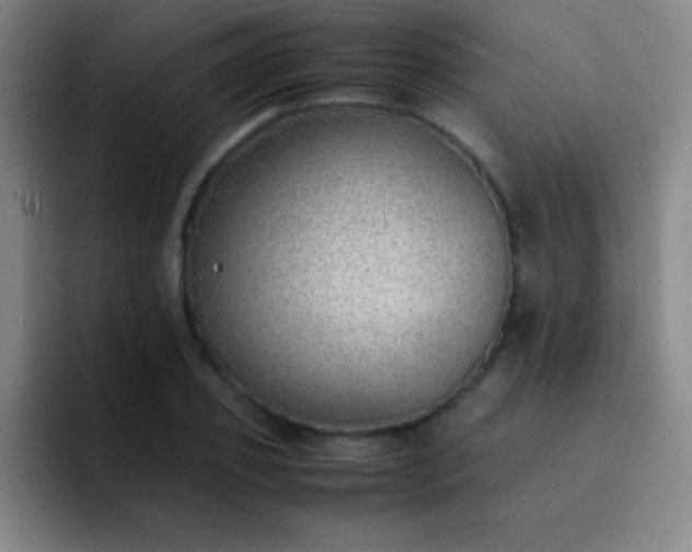 X0000091470933200709241303