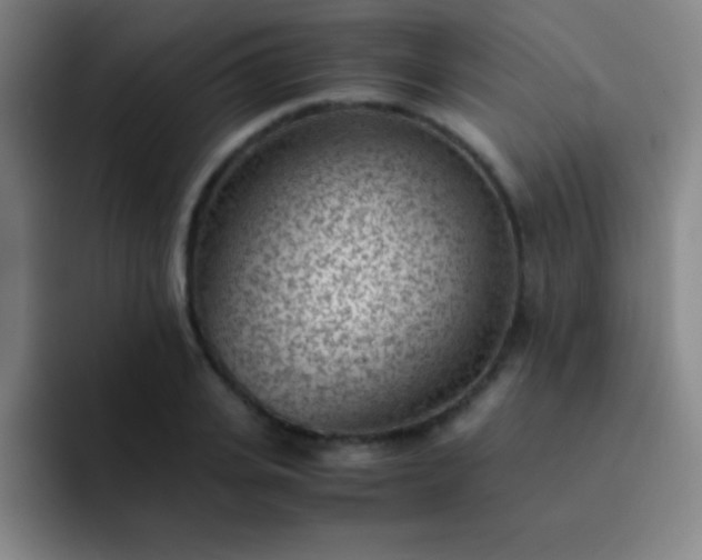 X0000091470935200709241303