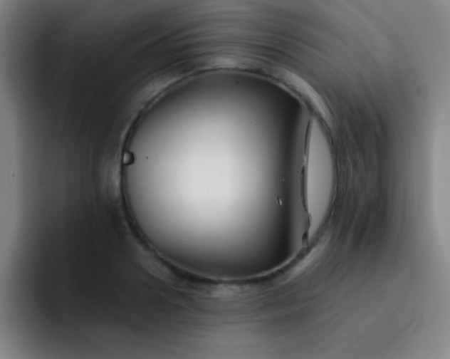 X0000091470938200709241303