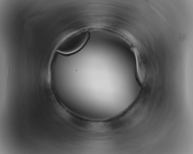 X0000091470940200709241303