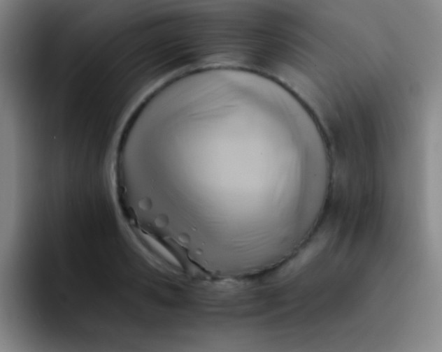 X0000091470941200709241303