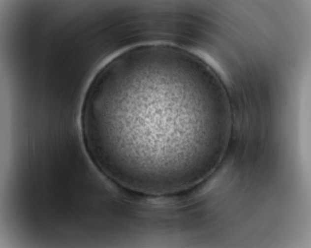 X0000091470943200709241303