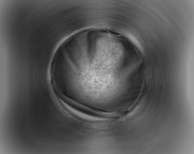 X0000091470944200709241303