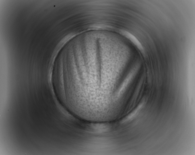 X0000091470946200709241303