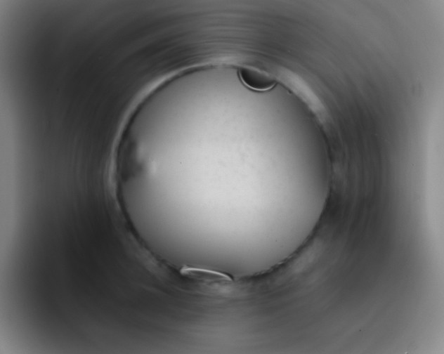 X0000091470948200709241303