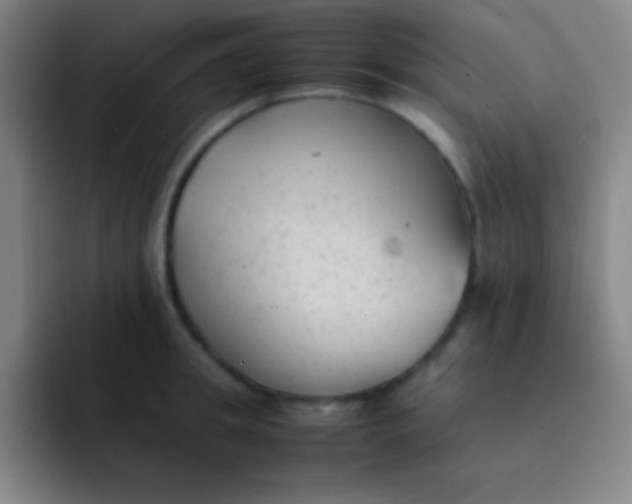 X0000091470949200709241303