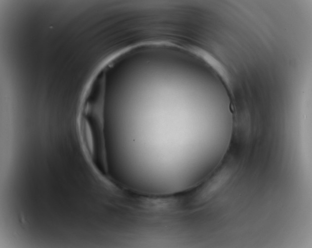 X0000091470951200709241303