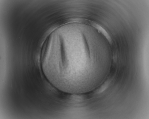 X0000091470954200709241303