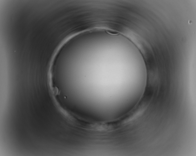 X0000091470955200709241303