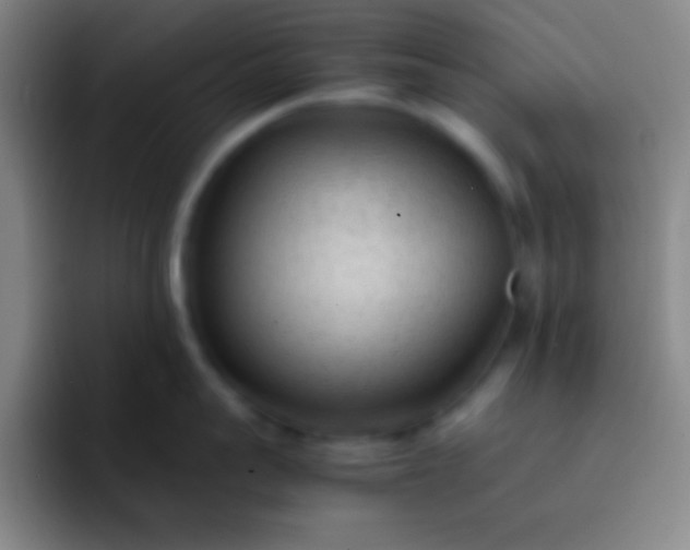 X0000091470959200709241303