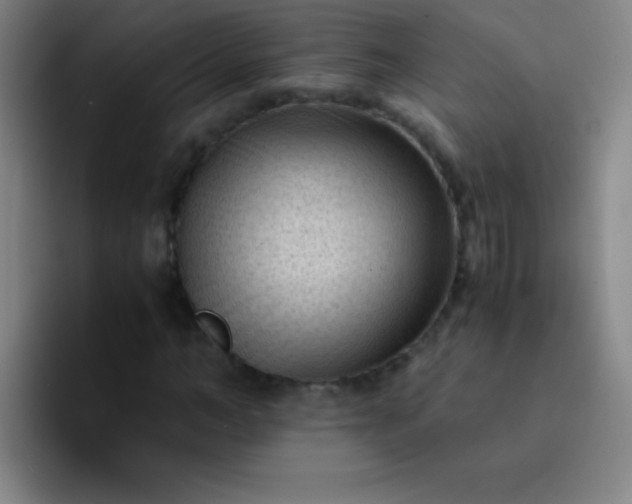 X0000091470966200709241302